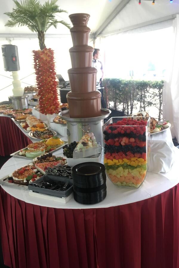 Chocoladefontein op een bedrijfsfeest (6)